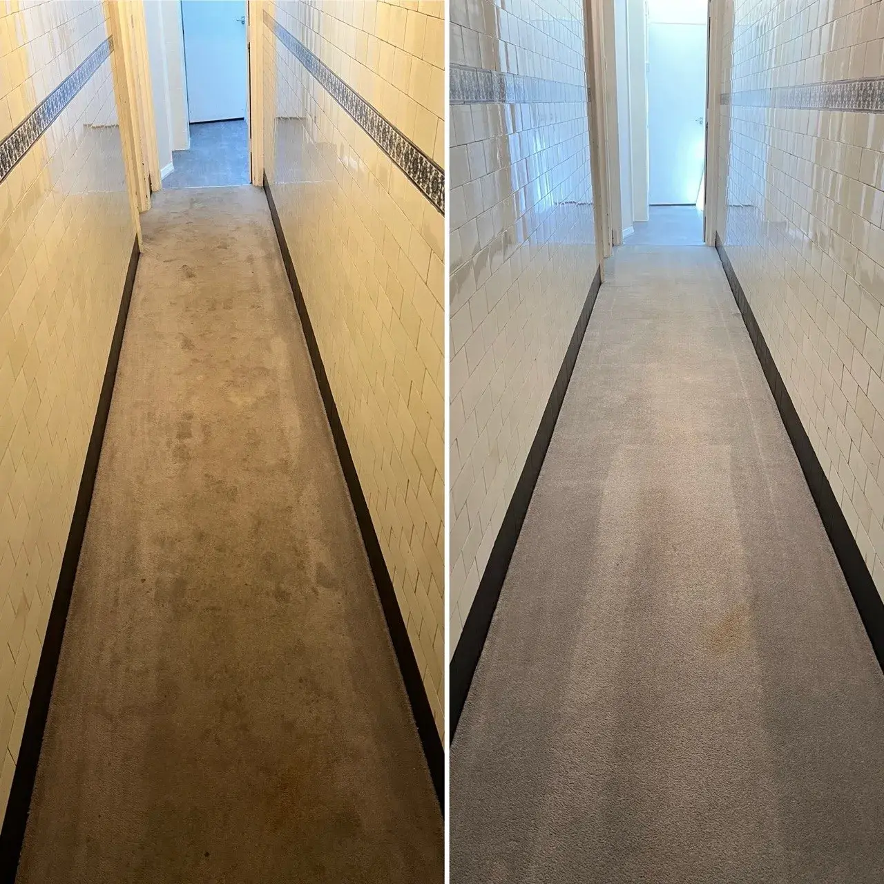 Restored carpet pile after extraction