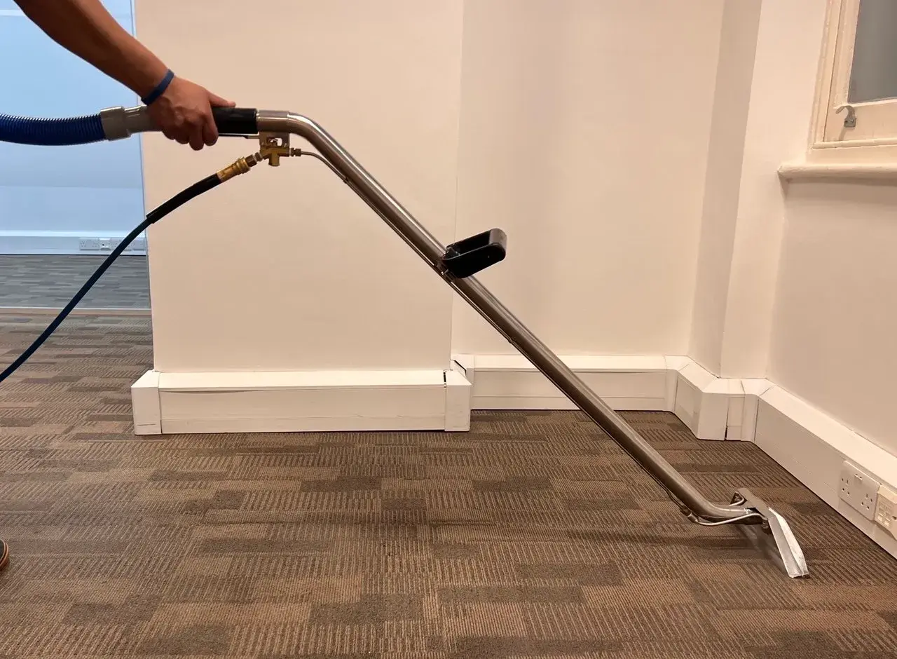Carpet Cleaning