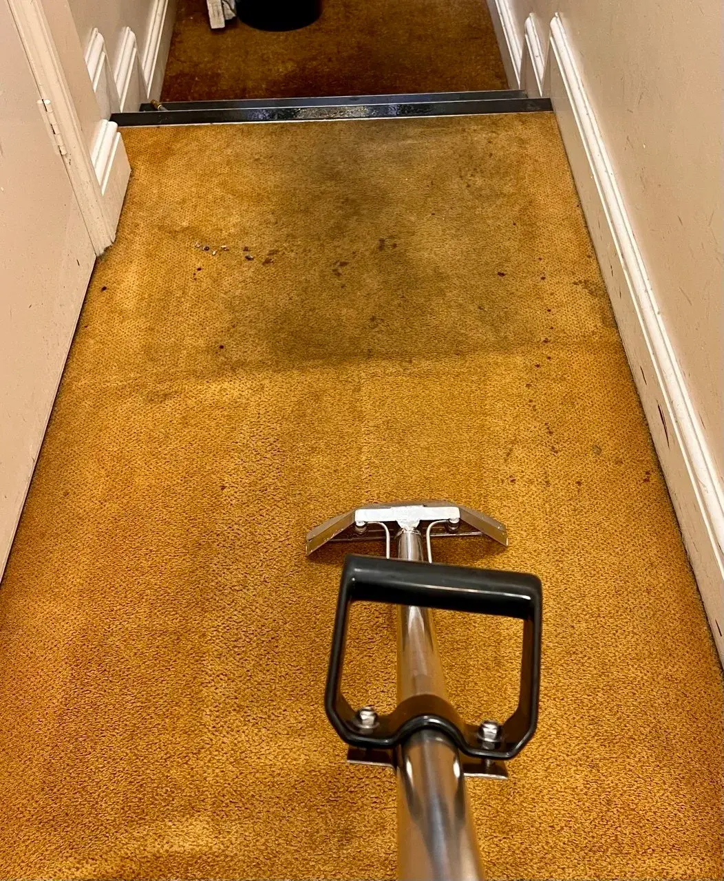 Carpet mid clean with a dirt line