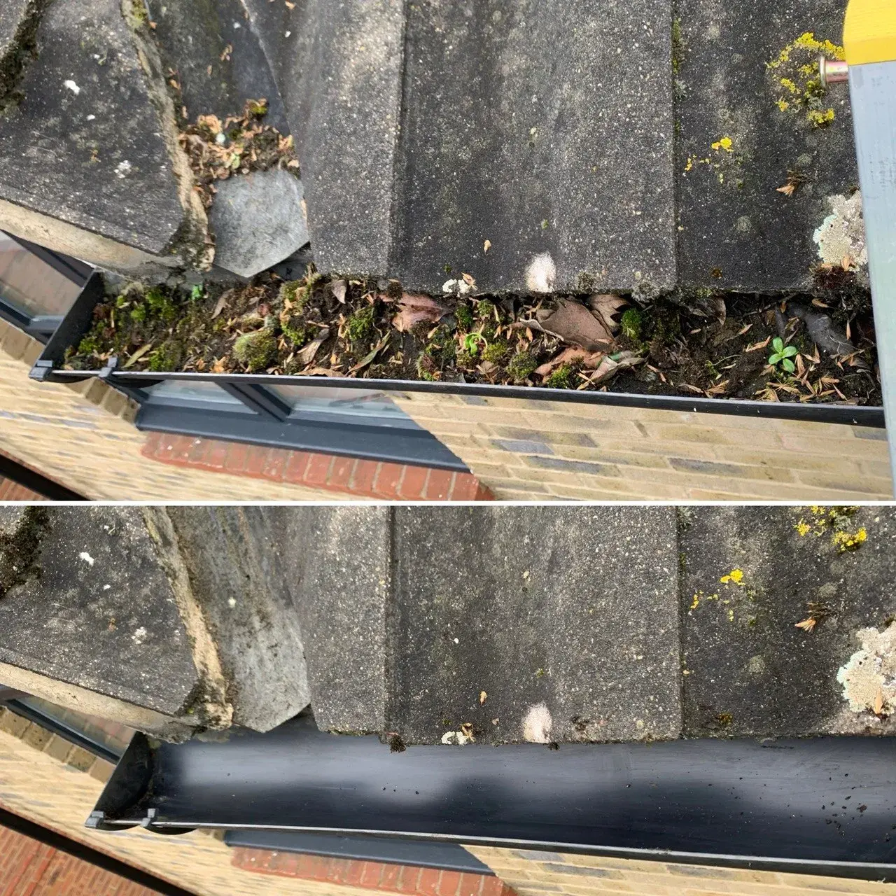 Gutter debris removed by WrXperts