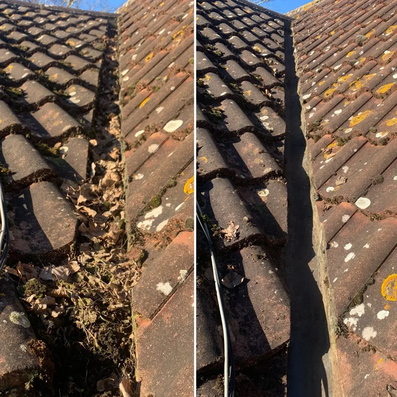 Another gutter cleaning before and after