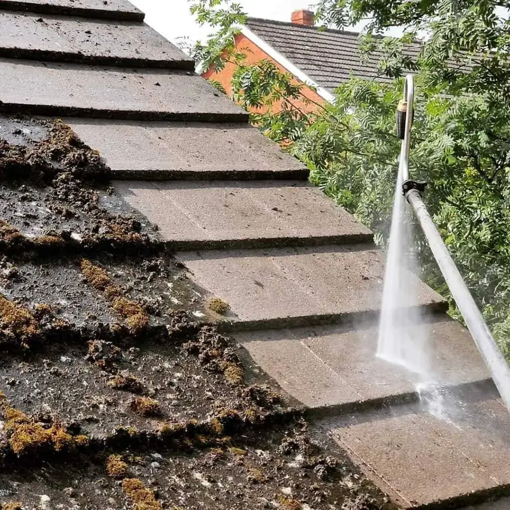 Roof after a soft wash and biocide treatment