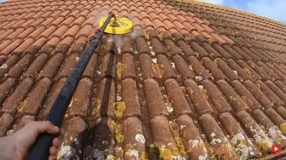 Close up of cleaned tiles after moss removal